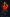Pin-Up Bet app